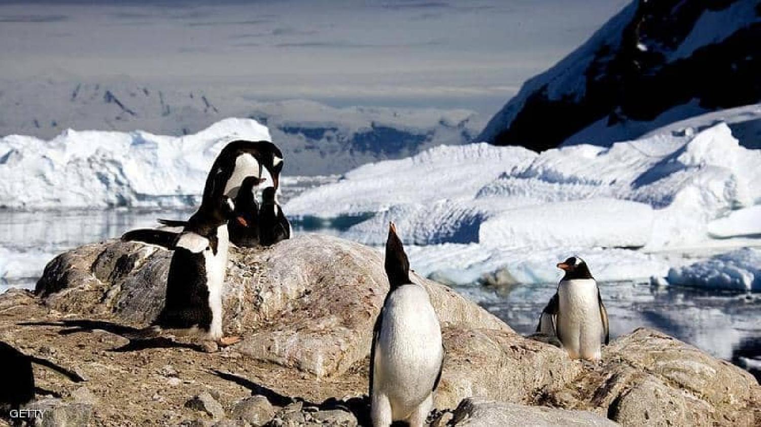 شبه جزيرة أنتاركتيكا تسجل حرارة لم تبلغها منذ عقود
