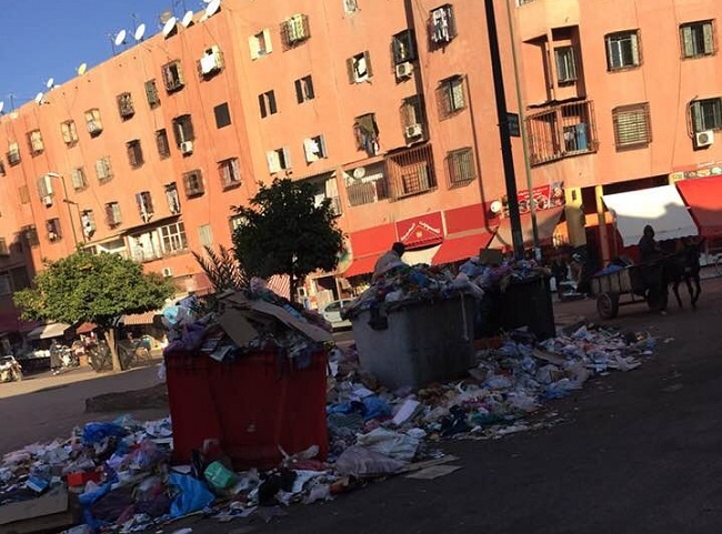 تراكم النفايات .. خطر صحي وبيئي يهدد سكان أحياء المسيرة