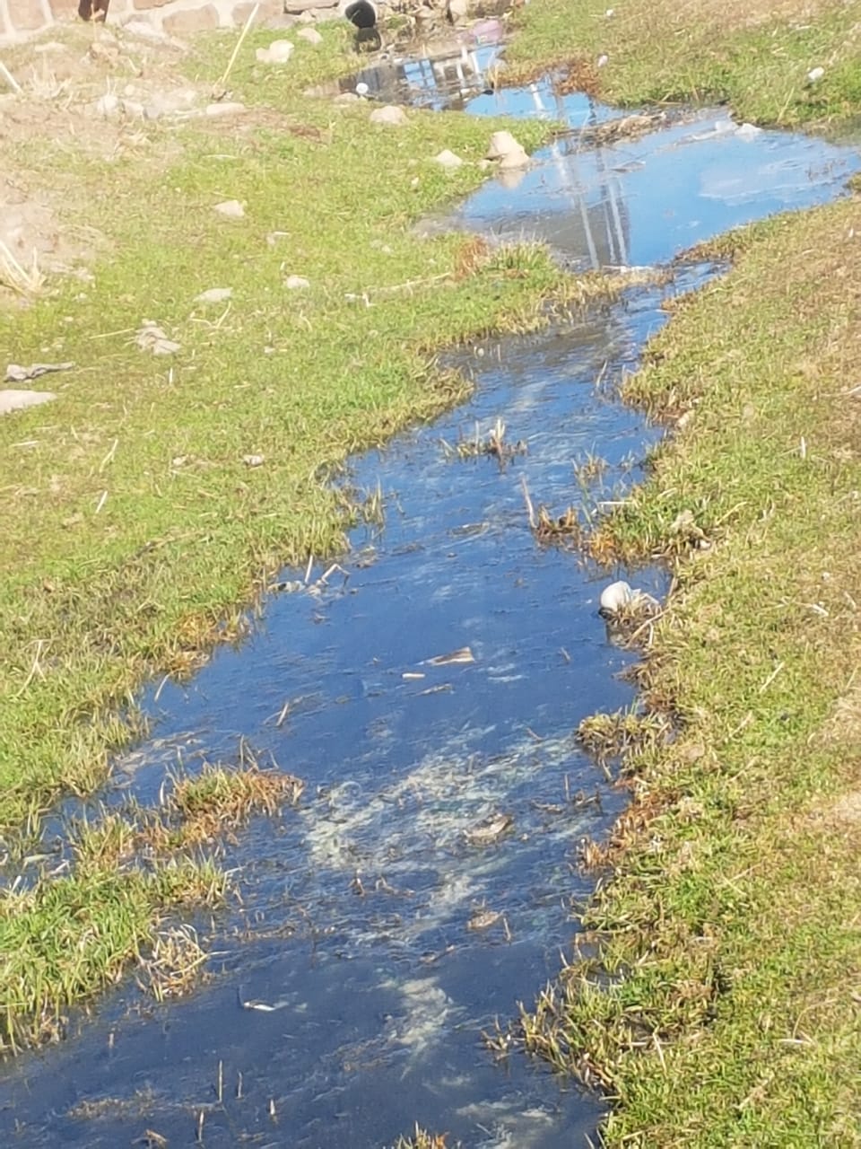 الصرف الصحي قد يجهض مشروع استزراع آلاف صغار التروتة في بحيرة أوكايمدن