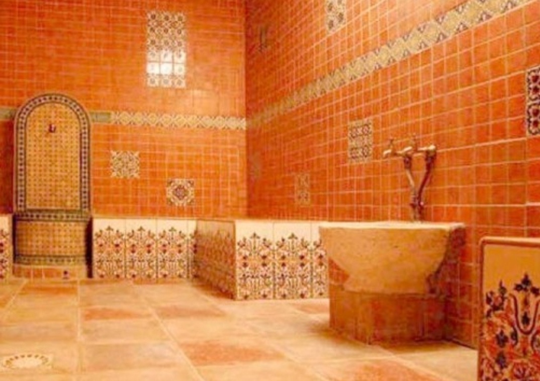 منتدى افتراضي من مراكش يناقش قدرة الحمامات على التكيف مع ظروف القرن الحادي والعشرين