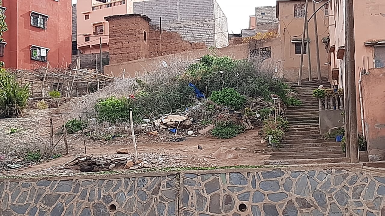 مطالب برفع ضرر نبات شوكي وسط حي بمدينة تحناوت