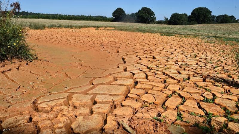 الجفاف يكبد أوروبا خسائر « زراعية » كبيرة