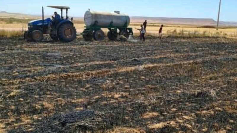 ٱلة حصاد تحصد النيران  بأحد المحاصيل الزراعية بدوار البلات باقليم شيشاوة