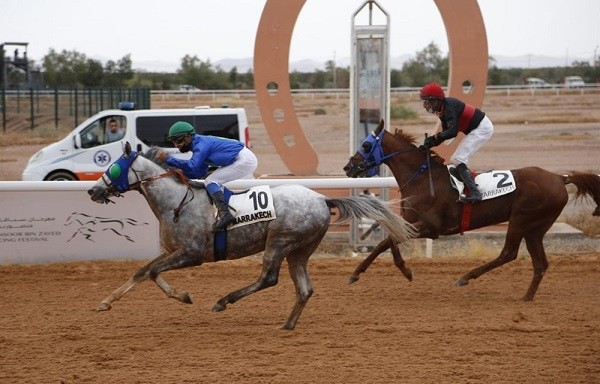 مضمار مراكش يدشن أولى سباقات الخيول العربية لهذا العام