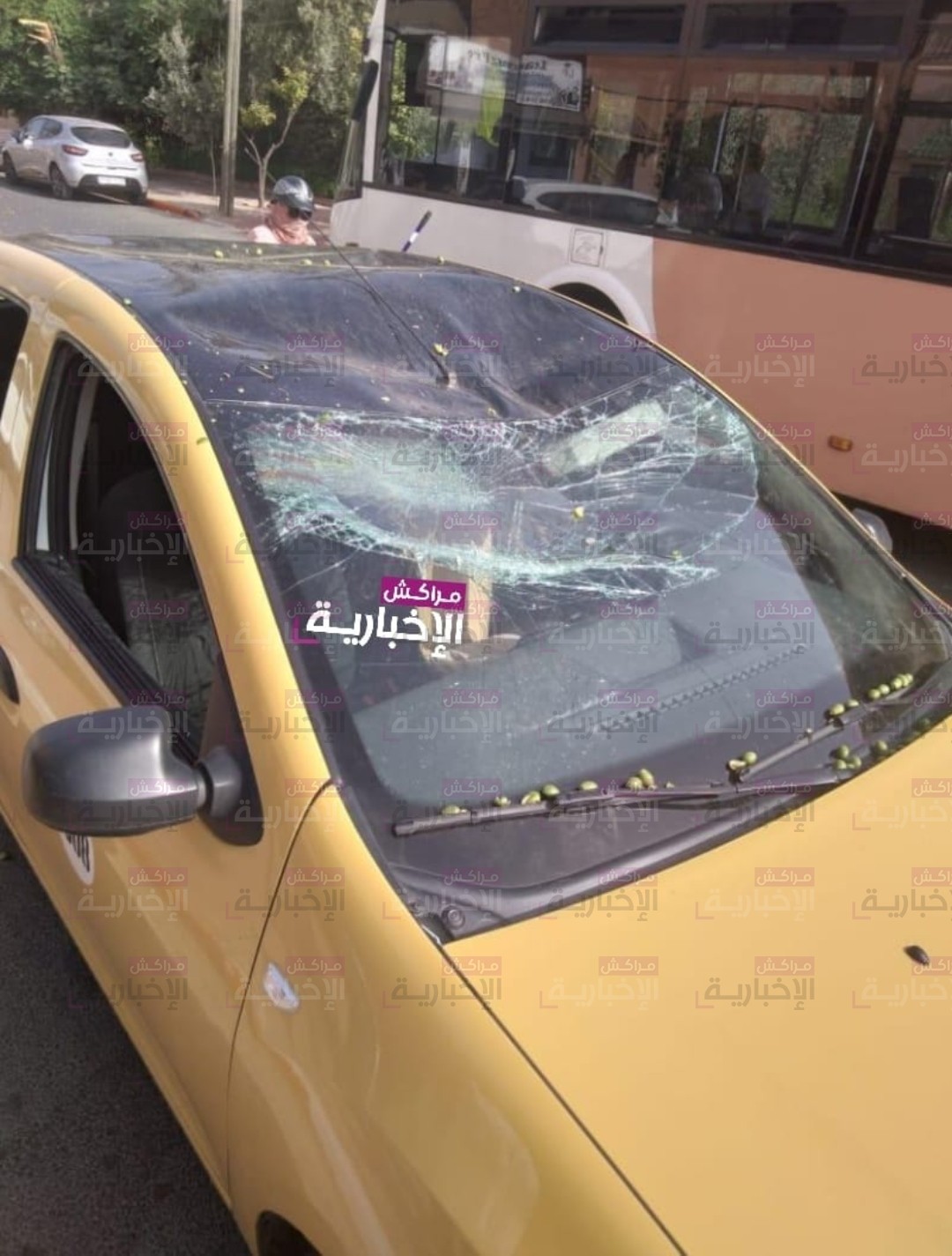 نجاة سائق بأعجوبة بعد سقوط نخلة على سيارة أجرة صغيرة بسيدي عباد