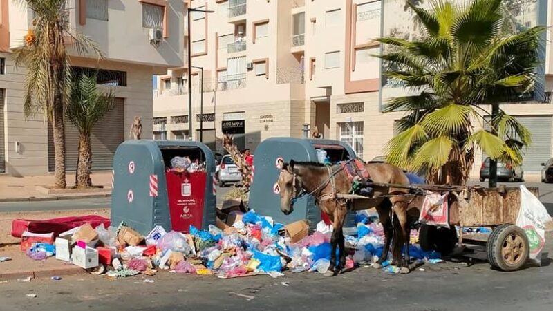 مراكش من وجهة سياحية عالمية إلى مكب للنفايات