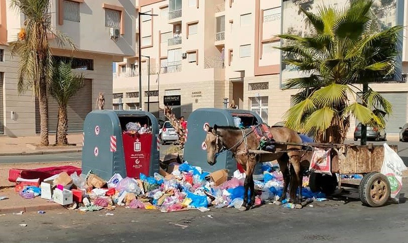 مراكش من وجهة سياحية عالمية إلى مكب للنفايات