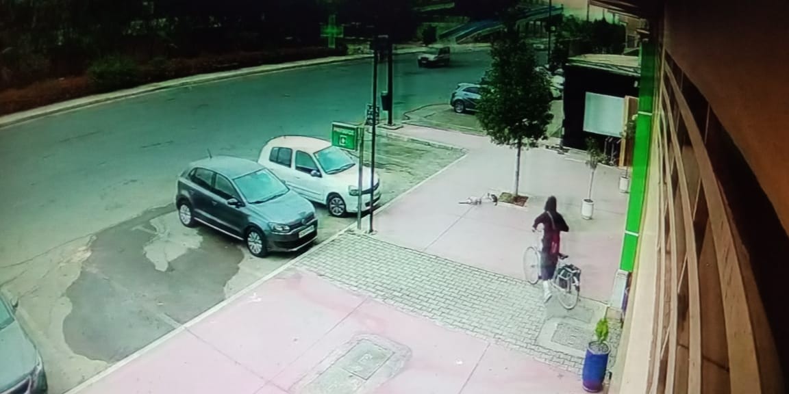 بالصور : سرقة دراجة هوائية من داخل عمارة بأبواب جليز