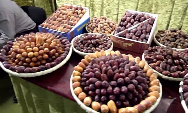 ارتفاع قياسي في إنتاج تمور المغرب