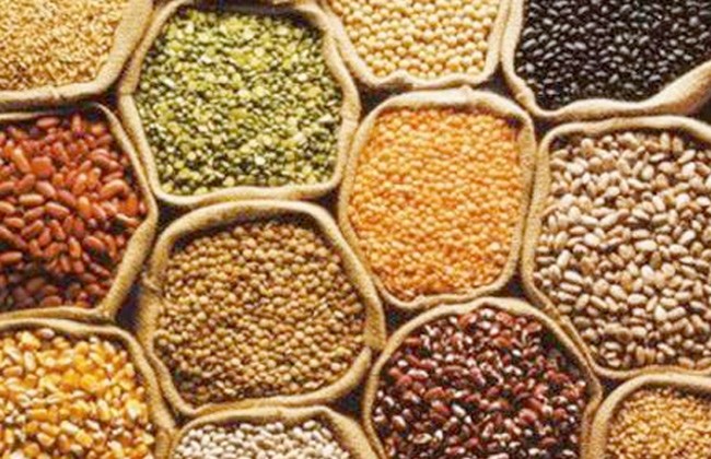 أسعار الحبوب والفواكه واللحوم بمدينة مراكش