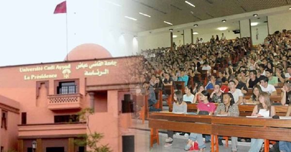 بعد وجدة وتطوان هل ستطلق جامعة القاضي عياض رقما أخضر للتبليغ عن التحرش الجنسي