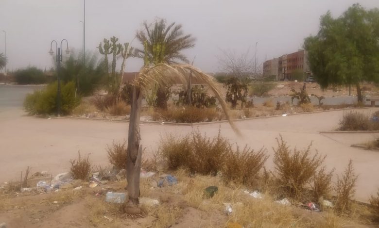 الجفاف والإهمال يحول الفضاءات الخضراء بمدينة  مراكش إلى مجالات موحشة
