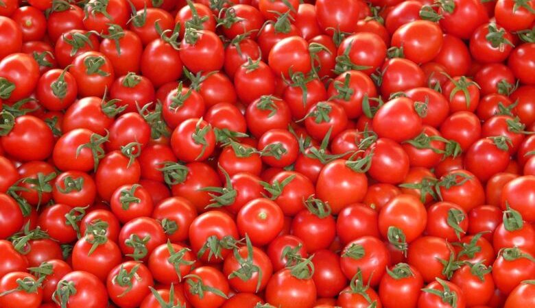 وزير الفلاحة: سعر الطماطم غير معقول والأزمة مرتبط بسماسرة القطاع