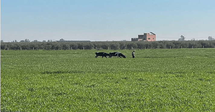 تفاؤل كبير بشأن الموسم الفلاحي بإقليم الصويرة بعد التساقطات المطرية الأخيرة