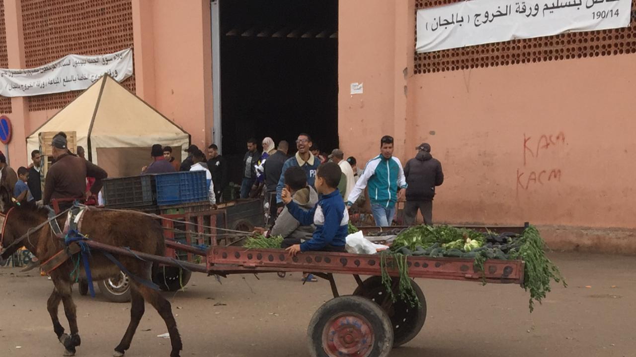 طفلان بسوق الجملة يقتحمان مشقة عالم الكبار وفعاليات تطالب بتدخل الجهات الوصية