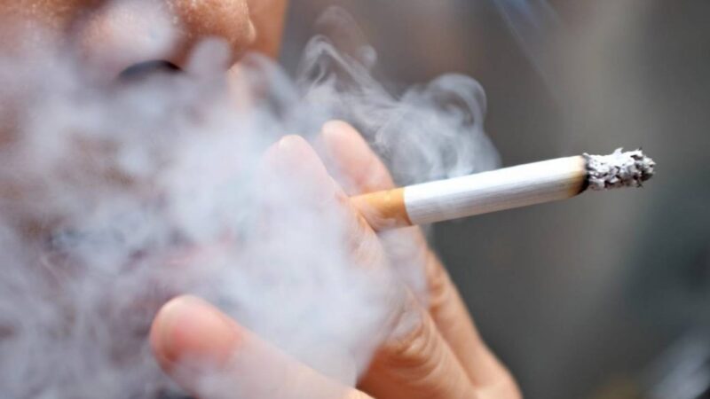 مدير مراكز طب الادمان بمراكش « نسبة تدخين التبغ بالمغرب في تراجع مستمر »