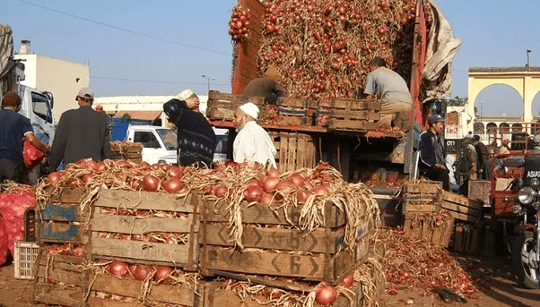 أسعار المواد الغذائية بأسواق مراكش اليوم الثلاثاء
