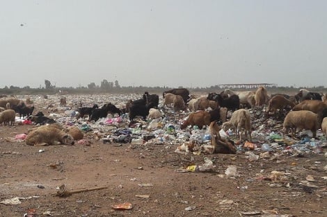 مطالب برفع الضرر بعد إعادة تشغيل مطرح النفايات القديم بمراكش