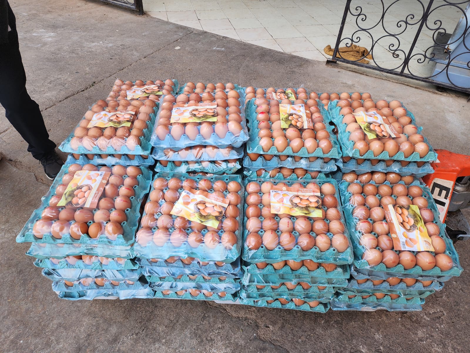 كلفة انتاج البيضة الواحدة يتجاوز درهم ونصف في المغرب