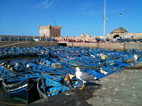 ارتفاع حجم الكميات المفرغة من منتوجات الصيد الساحلي والتقليدي بميناء الصويرة