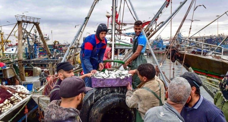 تسجيل انخفاض كبير في الكميات المفرغة لا اسماك بميناء الصويرة