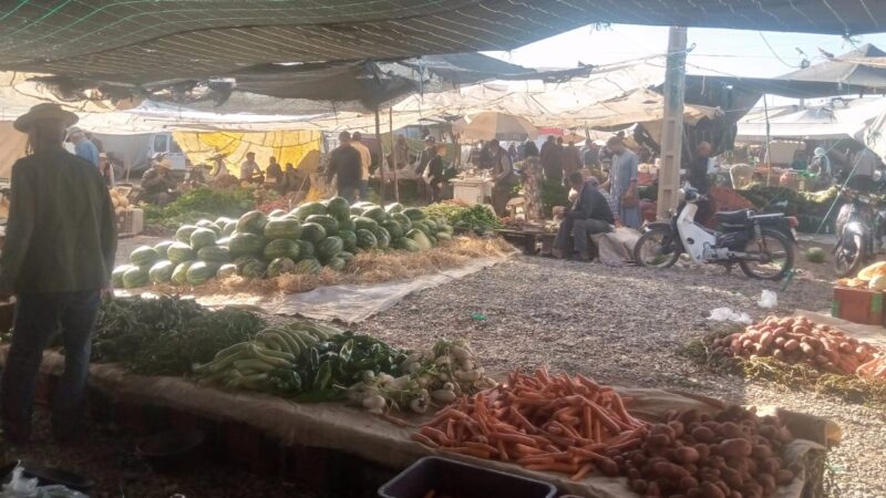 أسعار الخضر والفواكه بأسواق مراكش بداية الأسبوع