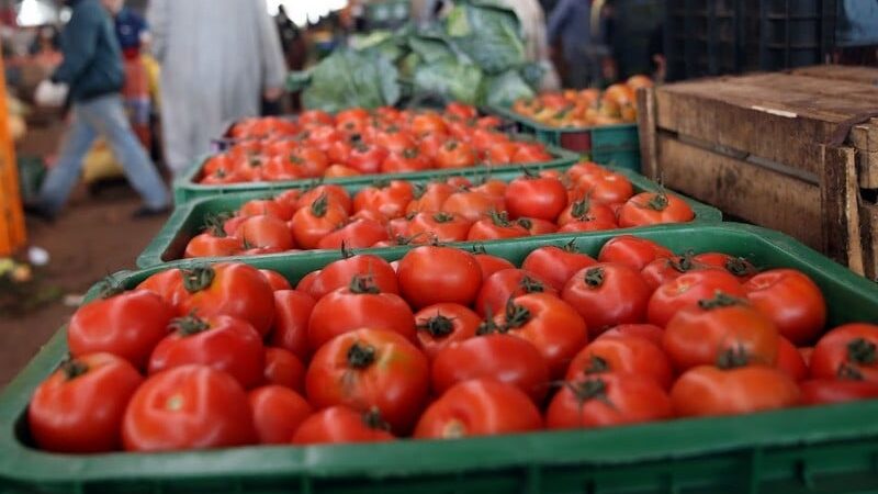 سعر الطماطم يصل إلى 10 دراهم وهذه اسعار اليوم بأسواق مراكش