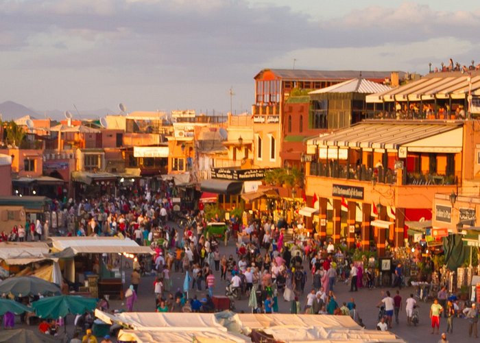 وزيرة السياحة « انجاز الاسود في قطر ساهم في ارتفاع عدد السياح الوافدين على المغرب »