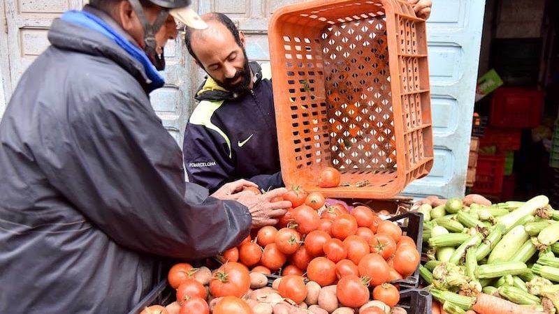 وزير الفلاحة « سندعم أسعار بذور البصل والطماطم والبطاطس لتفادي ارتفاع أثمنتها »