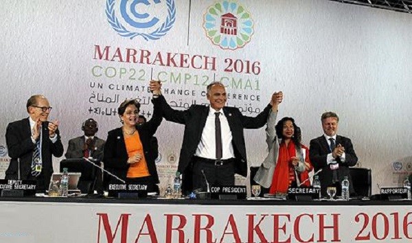 القاهرة تحتضن اجتماعا لتطبيق نداء مراكش من أجل المناخ