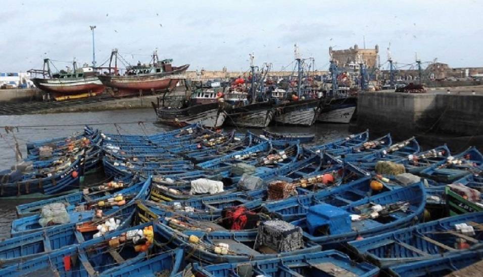 ارتفاع الكميات المفرغة من منتوجات الصيد البحري بميناء الصويرة بنسبة 235 في المائة