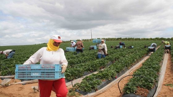 خبير اقتصادي فرنسي يدعو بلدان الساحل إلى الاستفادة من تجربة المغرب الكبيرة في المجال الفلاحي