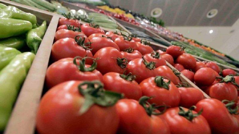 عائدات صادرات المغرب من الخضروات الطازجة تقارب 1.6 مليار دولار