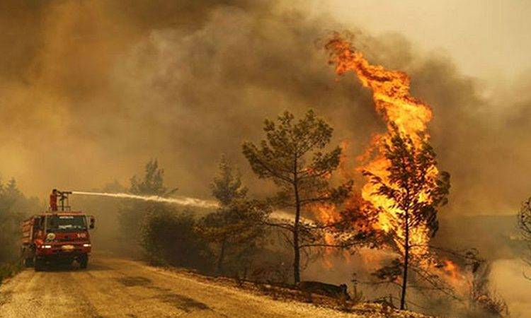 المياه والغابات: تسجيل 466 حريقا يلتهم 6426 هكتارا من غابات المغرب