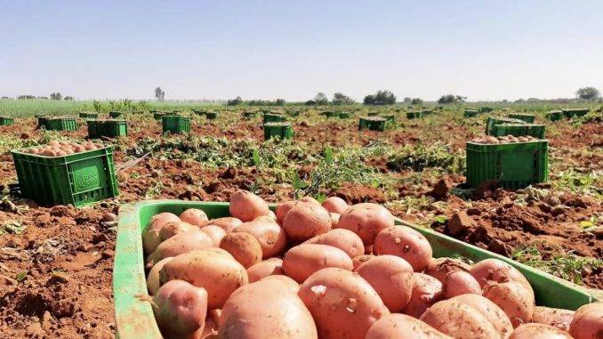 السجن والديون.. مصير عشرات الفلاحين بجهة مراكش أسفي