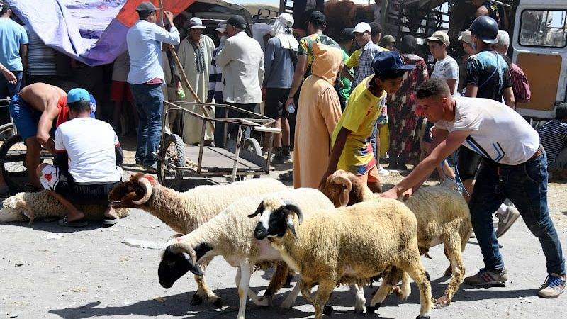 بشرى سارة للمتقاعدين قبل عيد الأضحى