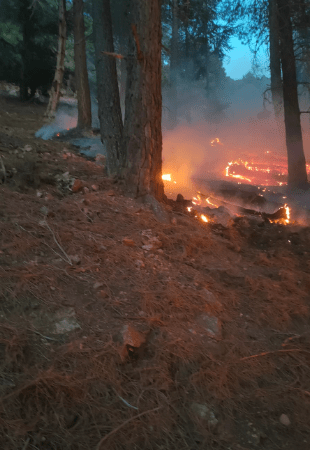 السيطرة على حريق في غابة « أوكايمدن » بإقليم الحوز