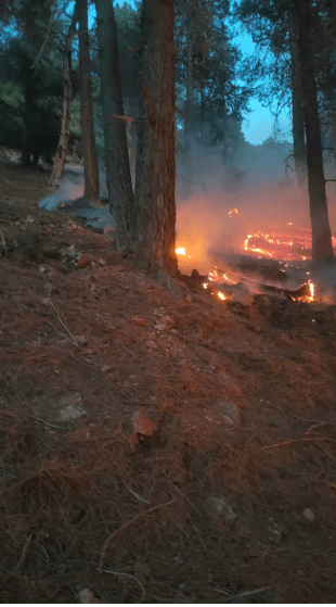 السيطرة على حريق في غابة « أوكايمدن » بإقليم الحوز