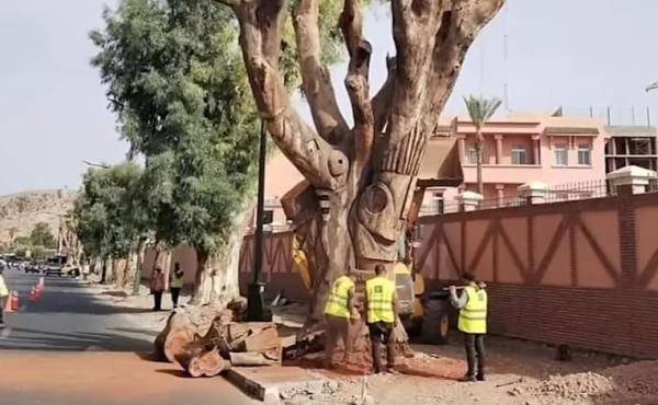 فنانون مغاربة وأجانب يستعدون لمقاضاة المجلس الجماعي لمراكش بعد تدمير أعمالهم الفنية