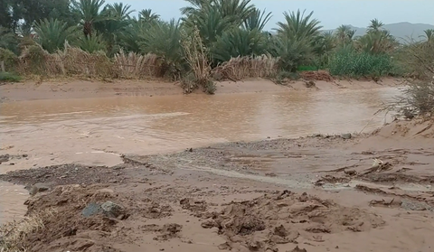 نزار بركة: فيضانات الجنوب الشرقي مكنت من تأمين المياه الصالحة للشرب لمدة 3 سنوات