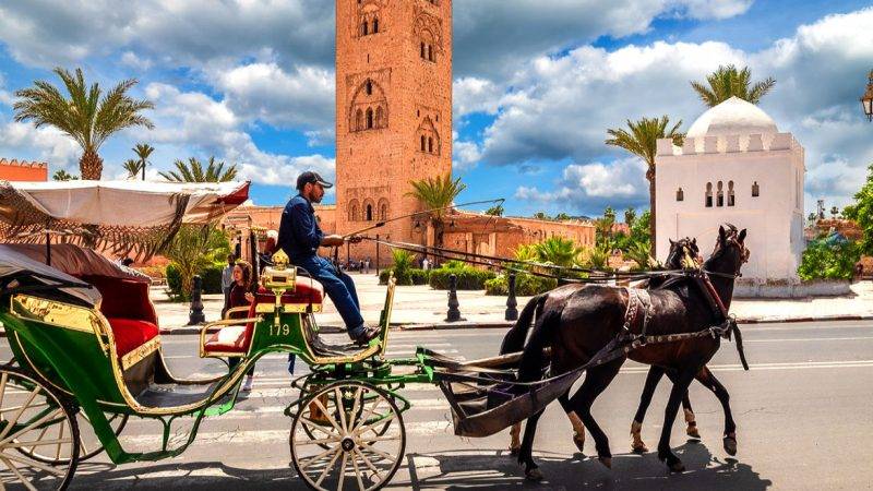 فاطمة الزهراء عمور: 14.6 مليون سائح وافد على المغرب بمتم أكتوبر  