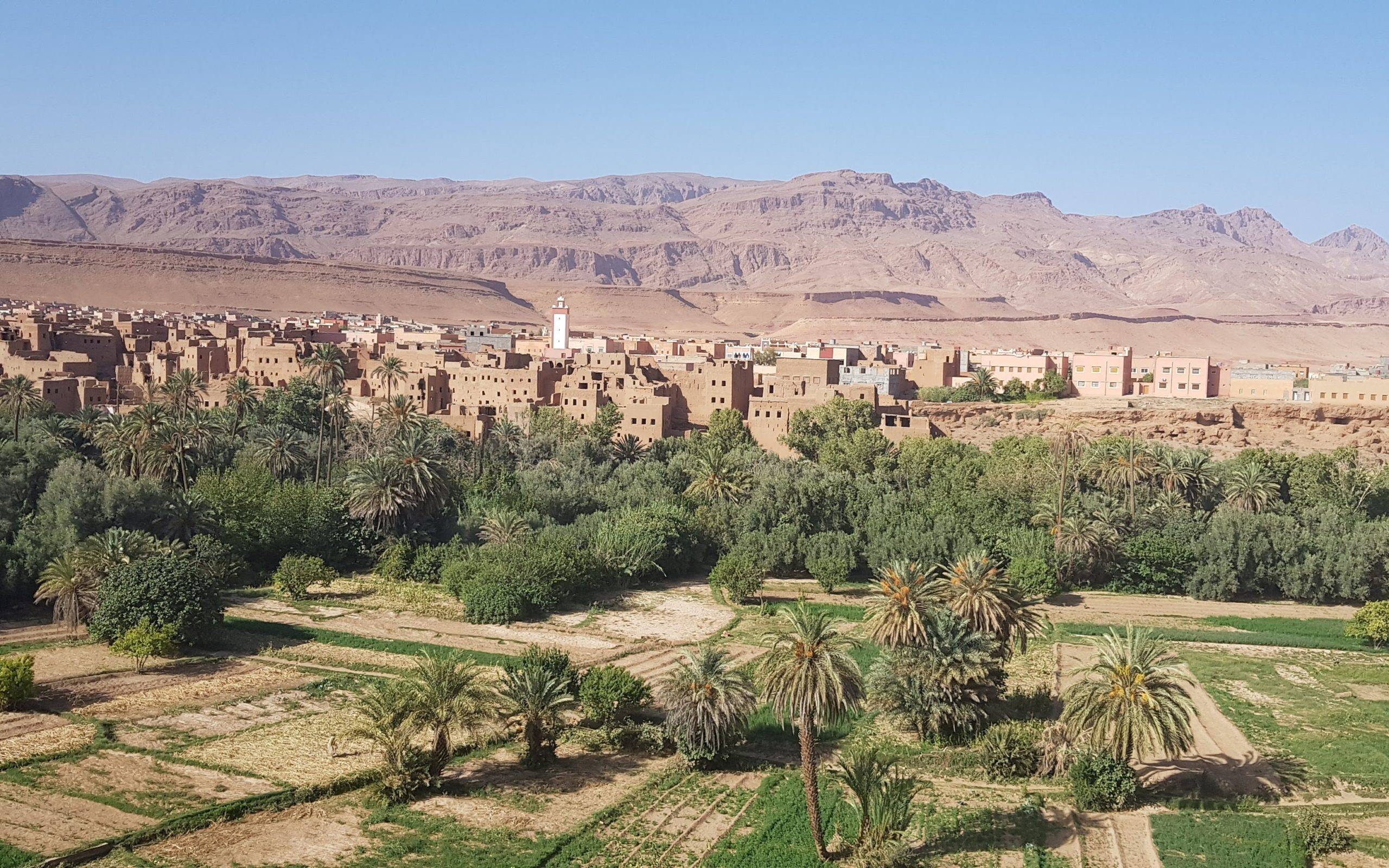 دار الشعر بمراكش تقارب أسئلة « الشعر والمسرح والذاكرة » في واحة تيغمرت