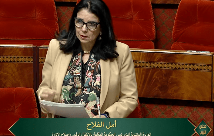 الوزيرة السغروشني: الجهود مستمرة لتحسين التغطية بشبكه الانترنت في الإدارات العمومية بالمناطق القروية