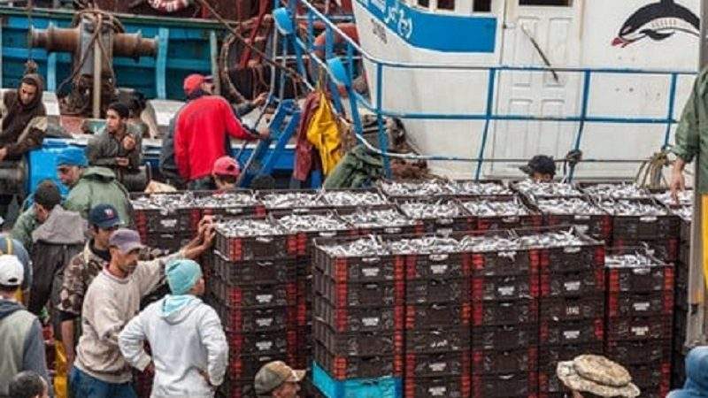 تسجيل انخفاض في الكميات المفرغة من منتجات الصيد البحري بالمغرب