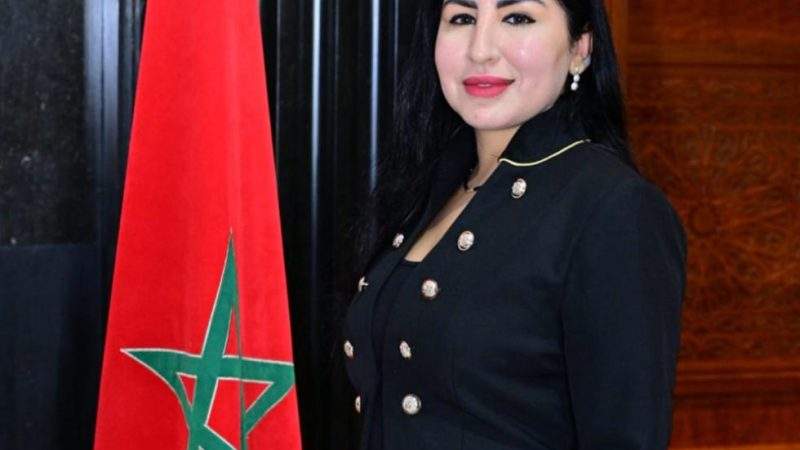 القرار الأممي بشأن الصحراء المغربية: انتصار للدبلوماسية الهادئة والرزينة